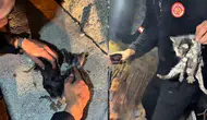 Çankırı'da metruk binada yangın çıktı : Mahsur kalan 3 yavru kedi kurtarıldı