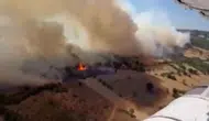 Balıkesir'de ormanlık alanda yangın çıktı