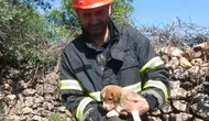 Mardin'de köpek yavrusu su kuyusuna düştü, ekipler kurtardı