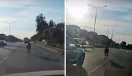 Bursa Mudanya’da başıboş at trafikte tehlike yarattı