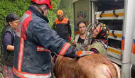 Afyonkarahisar'da inek belediyenin kazdığı çukura düştü