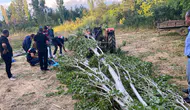 Isparta'da tarla temizliği sırasında kaza : Kestiği ağacın altında kalan adam hayatını kaybetti