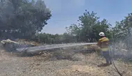 Hatay Hassa'da otluk alanda yangın