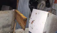 Rize'de bir ayı, 20 eve girerek maddi hasara neden oldu