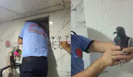 Gaziantep'te bir apartmanın havalandırma boşluğunda güvercin mahsur kaldı