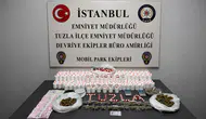 Tuzla'da uyuşturucu operasyonu : 14 bin 900 hap ele geçirildi