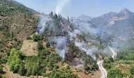 Adana Feke'de orman yangını : Havadan ve karadan müdahale ediliyor