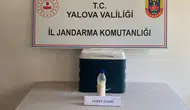 Suriye'den Yalova'ya getirilen 5 milyon dolarlık akrep zehri ele geçirildi : Değeri dudak uçuklattı
