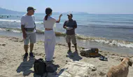Üreme dönemindeki 3 caretta caretta Aydın ve İzmir kıyılarında ölü bulundu