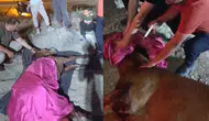 Osmaniye'de yolcu minibüsü başıboş ata çarptı