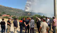 Aydın'da zeytinlik ve otluk alanda yangın çıktı