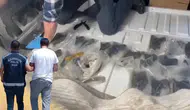 Samsun'da aracın gizli bölmesinden 47 ruhsatsız tabanca çıktı : 1 tutuklama