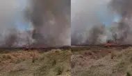 Denizli Acıpayam'da tarlada yangın çıktı