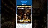 Leopar deseni neden bu kadar seviliyor? Bilimsel araştırmalar dikkat çekti