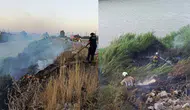 Antakya'da Asi Nehri kenarındaki sazlık alanda yangın : Ekipler tarafından söndürüldü