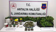 Manavgat'ta jandarmadan uyuşturucu operasyonu : 2 tutuklama