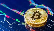 Kripto para piyasasında fiyat değişimlerini etkileyen temel dinamikler neler?