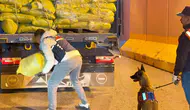 Van'da tıra uyuşturucu operasyonu : 2 gözaltı