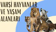 Vahşi hayvanlar ve yaşam alanları