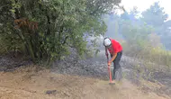 Mudanya'da bağ evinde çıkan yangın zeytinlik ve ormanlık alana sıçradı