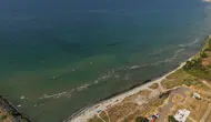 Tekirdağ'da sahil temizliği : 100 torba atık toplandı