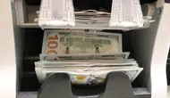 Güncel döviz kurları açıklandı : Dolar haftaya yükselişle başladı