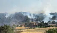 Balıkesir'de orman yangını : Ekiplerin müdahalesi sürüyor