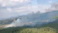 Muğla Menteşe'de tarım arazisinde çıkan yangın ormana sıçradı