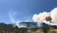 Balıkesir Kepsut'ta ormanlık alanda yangın