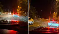 Sakarya’da milyonlarca kelebeğin ölüm dansı başladı