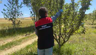 Bayburt’ta hasat öncesi sıkı pestisit denetimleri başladı