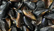 Samsun'da 150 kilogram kaçak midye ele geçirildi
