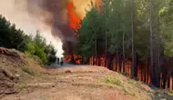 Muğla Seydikemer'deki orman yangınına havadan ve karadan müdahale sürüyor