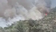 Balıkesir Edremit'te ormanlık ve zeytinlik alanda yangın
