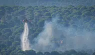 Balıkesir Gömeç'te orman yangınına müdahale devam ediyor