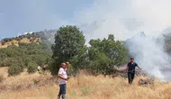 Mardin Ömerli'de ormanlık alanda yangın