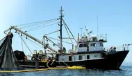 İzmir'de yasa dışı trol avcılığa baskın