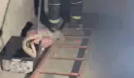 Osmaniye'de evde görülen zehirli engerek yılanı panik yarattı