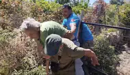 Bodrum'da kendini yakmak isteyen kadın, 10 hektarlık alanı küle çevirdi