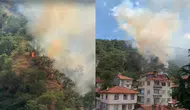Kastamonu'da orman yangını : 40 dönümlük alan zarar gördü