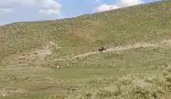 Muş'ta traktör takla attı : Baba ve oğlu yaralandı