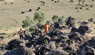 Bitlis'te otluk alanda korkutan yangın :500 dönümlük alan zarar gördü