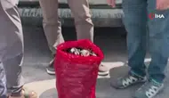 Yalova'da 3 bin kilogram kaçak midye ele geçirildi