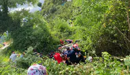 Giresun'da otomobil şarampole devrildi : 2 ölü, 3 yaralı