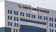 Tarım ve Orman Bakanlığı açıkladı : 11 yangın bölgesinde çalışmalar sürüyor