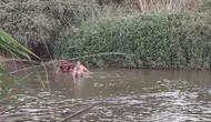 Aydın'da akıntıya kapılan 2 çocuk için arama çalışması başlatıldı