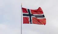 Norveç'te orman yangınları : 80 hektarlık alan alev alev