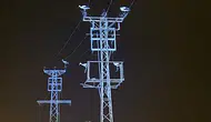 Afyonkarahisar'da göç eden leylekler tellere kondu : Beldelerde elektrik kesintisi yaşandı