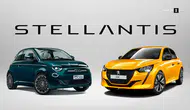 Stellantis'in geri çağırma kararı : Tek bir hata pahalıya patladı!