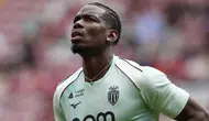 Kocaelispor'da Paul Pogba heyecanı ! Transfer şartları araştırılıyor